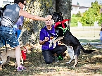 Adoptuj Warszawiaka  Wydarzenie promujące adopcję zwierząt. Organizator: Schronisko dla Bezdomnych Zwierząt "Na Paluchu". 18 sierpnia 2019, Park Raszyński w Raszynie. : park raszyński, adoptuj warszawiaka, na paluchu, schronisko dla zwierząt, centrum warszawy, raszyn